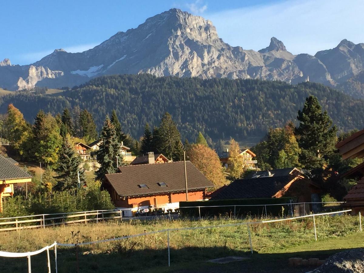 Chalet Le Slalom Arveyes Екстер'єр фото