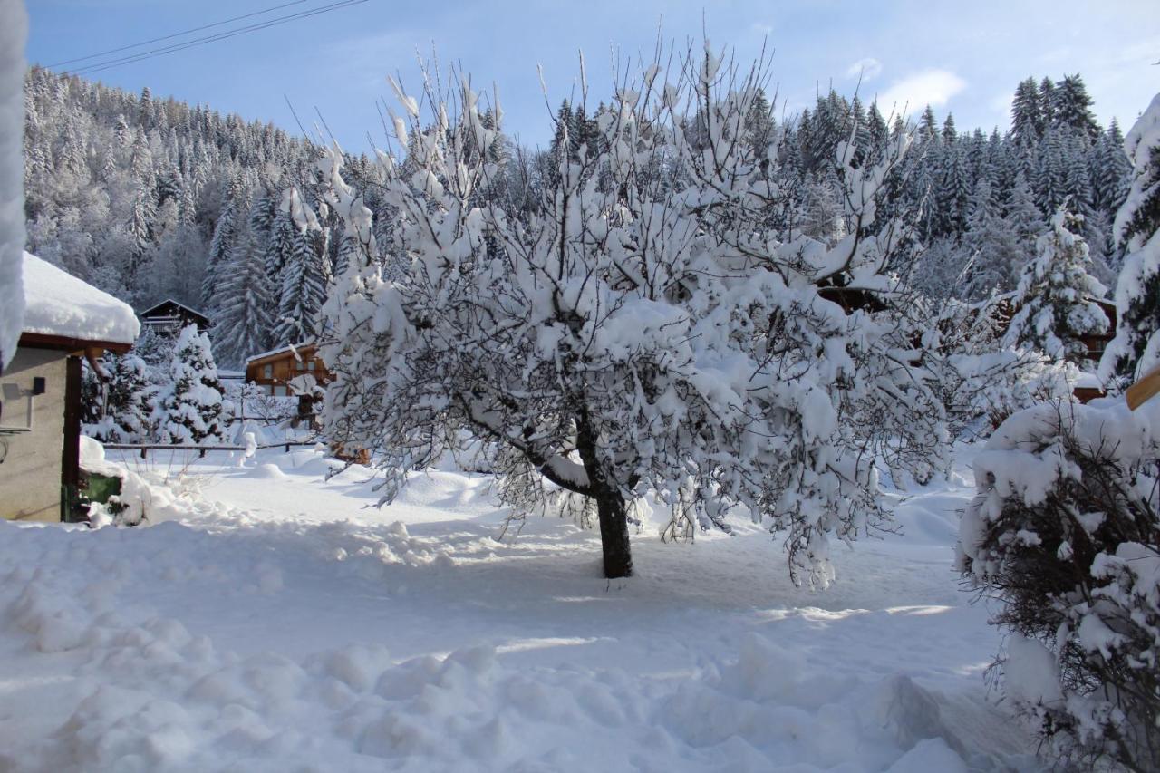 Chalet Le Slalom Arveyes Екстер'єр фото